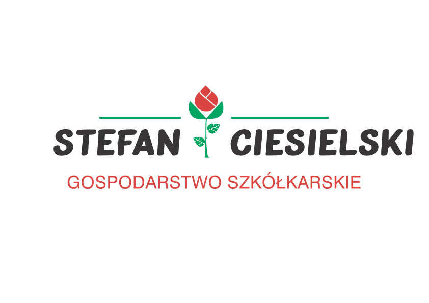Stefan Ciesielski